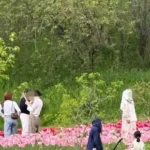 Штраф